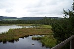 ŠUMAVA